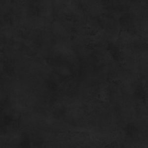 black hpl 91865